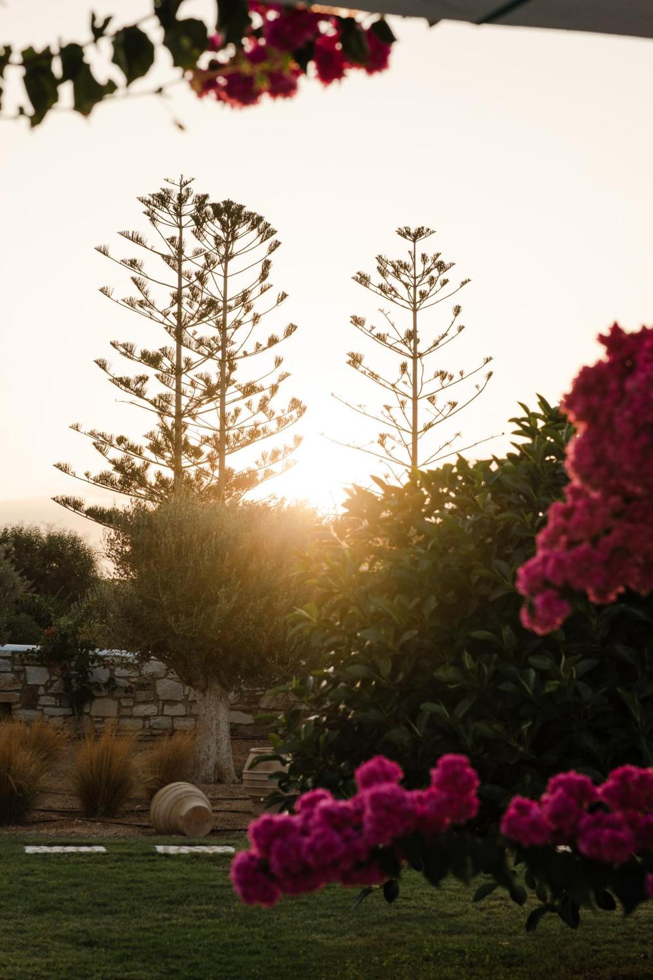 White Dunes Luxury Boutique Hotel 산타 마리아 외부 사진
